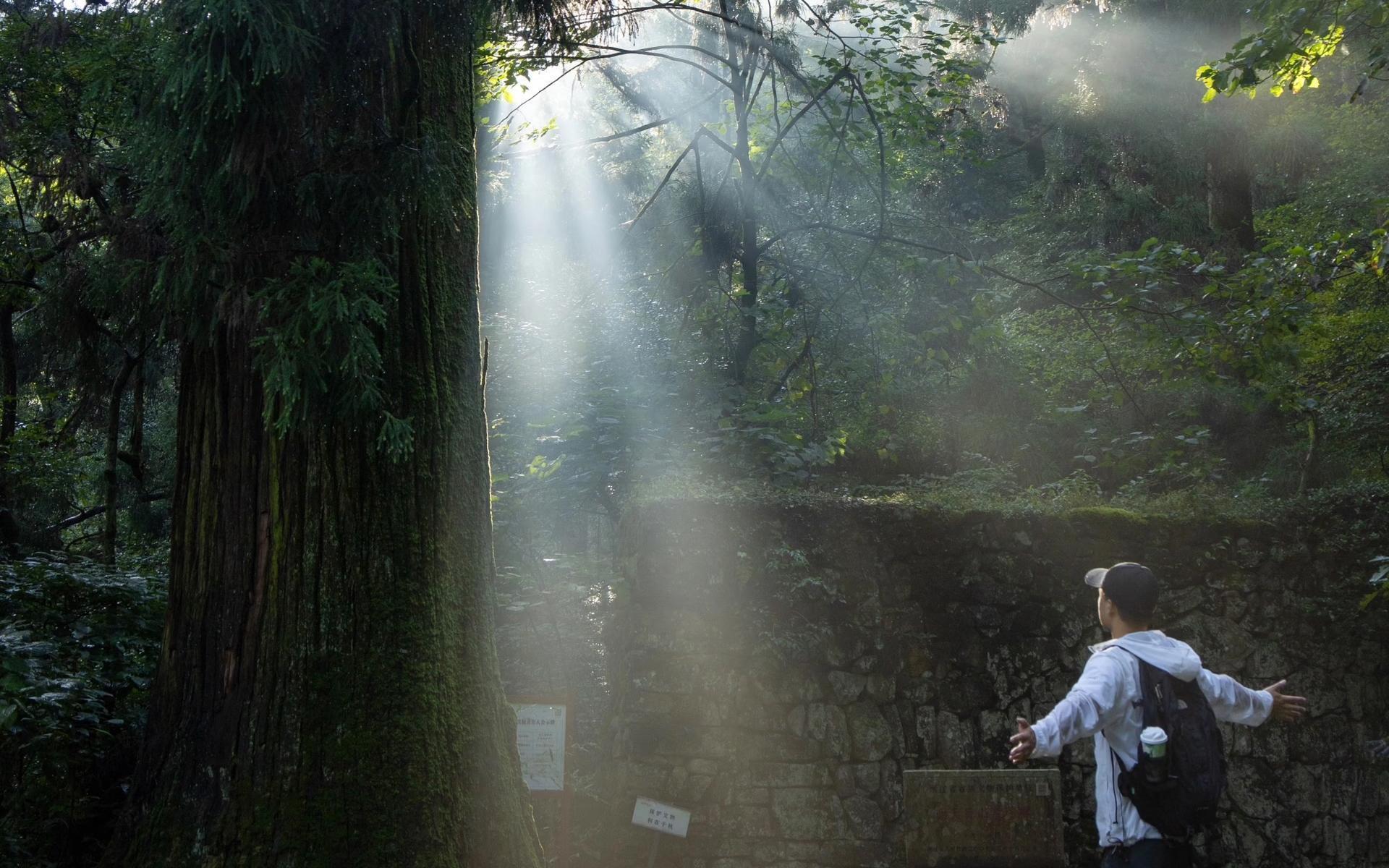 Zhejiang Zen & Water Town Spa Retreat